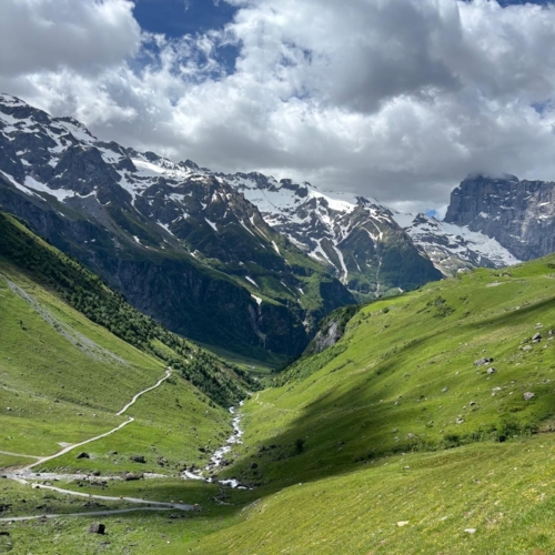 260614_BV_Surenental-Blackenalp 3