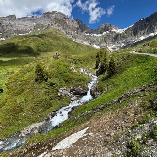 260614_BV_Surenental-Blackenalp 4