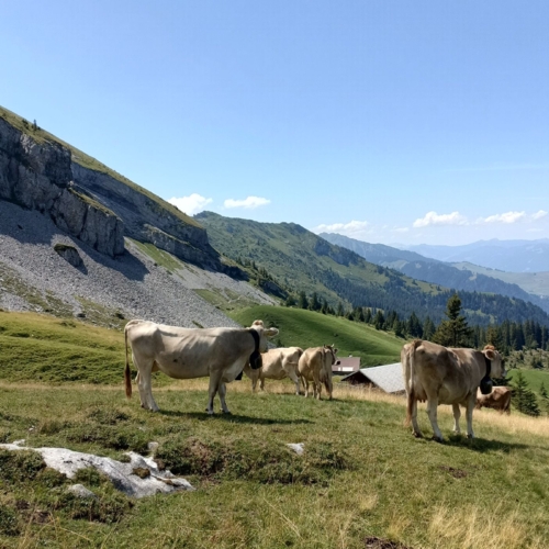 260808_PG_Brisen 4