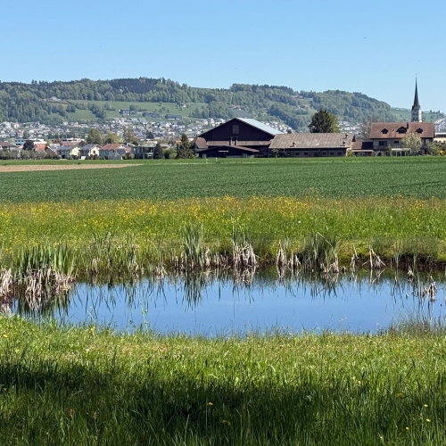 2026-04-23_7_Mittagsrast bei Schötz