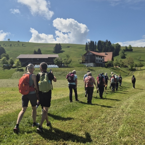 20260509_2_Bei Schurtannen