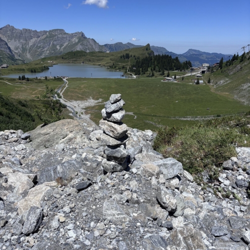 260704_Bitzistock _9 013