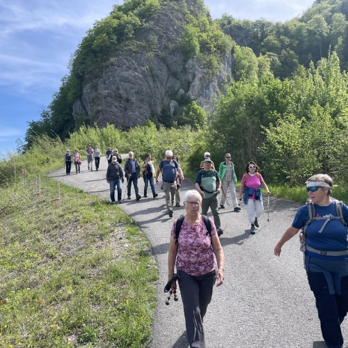 260426_1 Beim Sammler der Kl