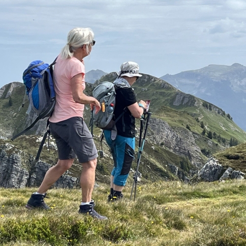 260617_NM_Gratwanderung Niederhorn_6