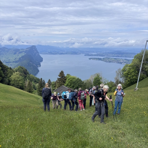 260520_CB_Vitznauerstock_1