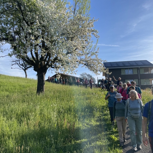 260418_PR_lang_1 Vorbei an wunderbar blühenden Obstbäumen 001