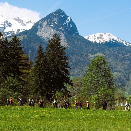 260418_DF_kurz_10 Zum neuen Wegverlauf an der Kleinen Melchaa
