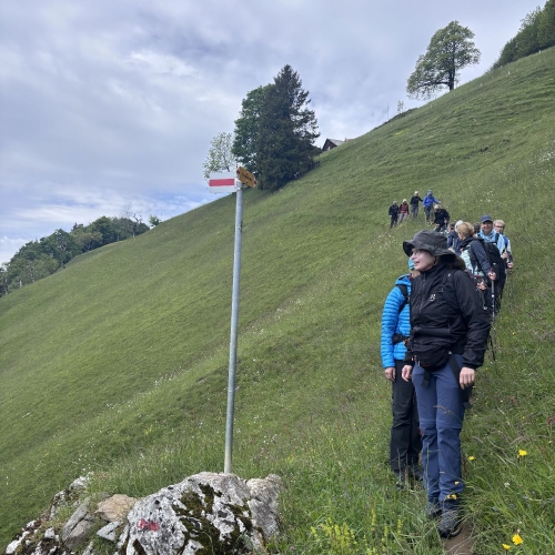 260520_CB_Vitznauerstock_10