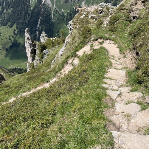 260617_NM_Gratwanderung Niederhorn_7