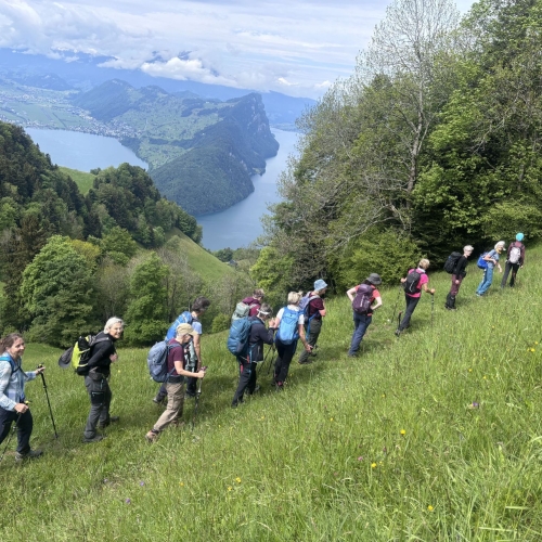 260520_CB_Vitznauerstock_6