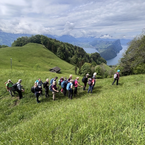 260520_CB_Vitznauerstock_4