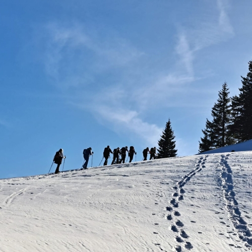 260121_SS_Alpnacher Howald 6