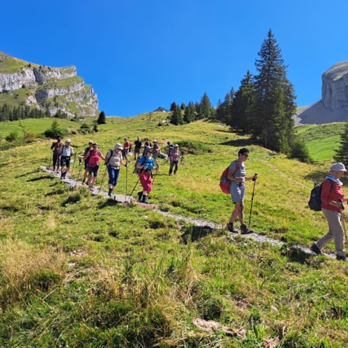 260819_WW_Haldigrat_Brisenhaus 3