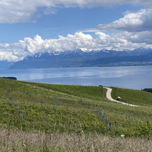 260514_DF_09_Auf-dem-Weg-zum-Ziel 006