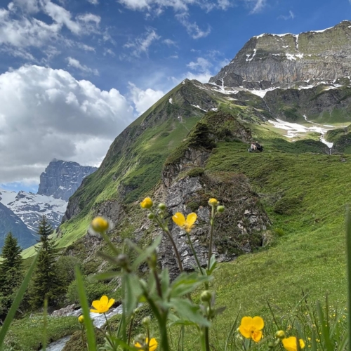 260614_BV_Surenental-Blackenalp 5