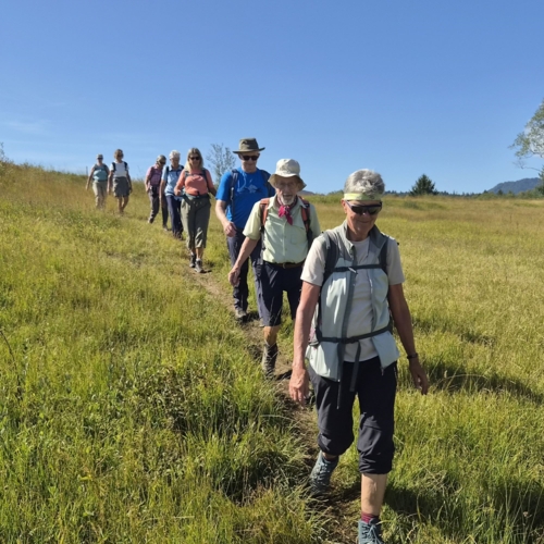 20260903_1_Moorwanderung