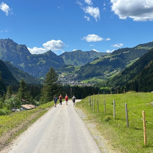 260614_BV_Surenental-Blackenalp 8