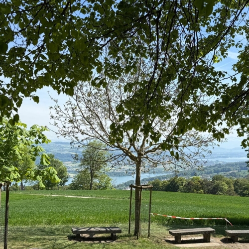 260502_AB_Hallwil_10