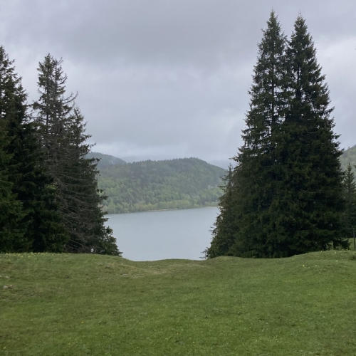 260514_DF_01_Entlang-dem-Lac-de-Joux 001