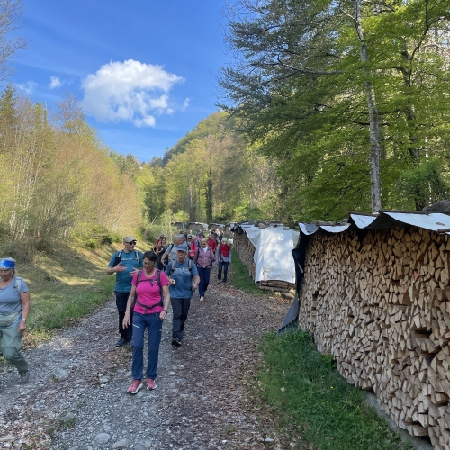 260418_PR_lang_3 Auf dem Schutzdamm des Gerigsbach 001
