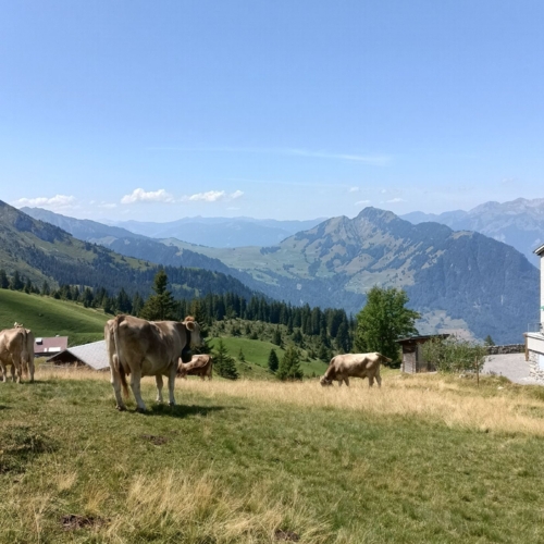 260808_PG_Brisen 3