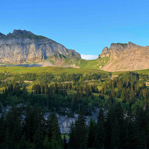 260715_PR_11 Chringengrätli und Abgschütz in Sicht