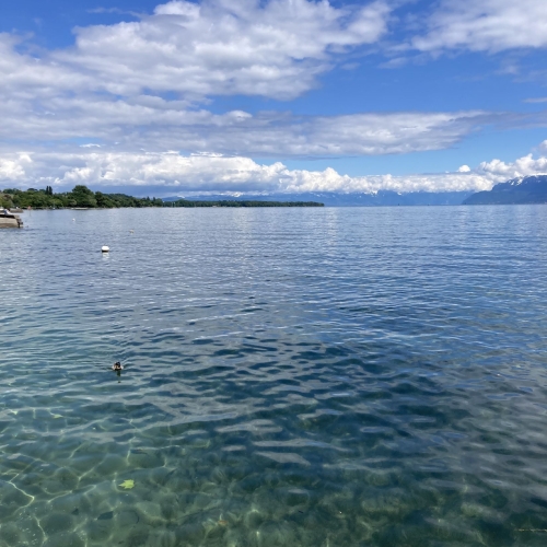 260514_DF_10_Am-Genfersee-angekommen 007