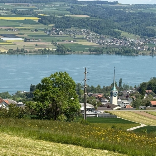 260502_AB_Hallwil_7
