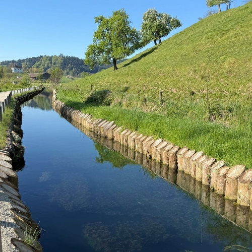 2026-04-23_4_Kanal zum Kraftwerk Mülihof