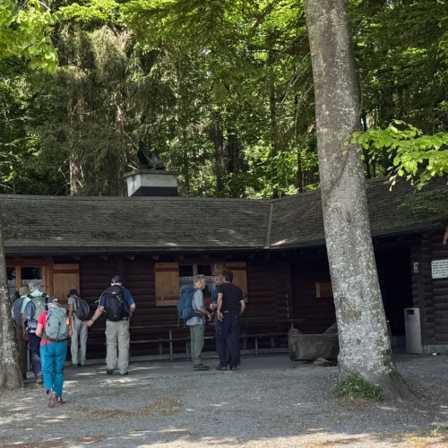 260502_AB_Hallwil_6