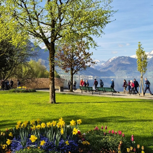 260418_DF_kurz_02 Sarner Flanierpromenade in der Frühlingspracht