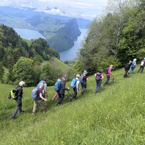 260520_CB_Vitznauerstock_5