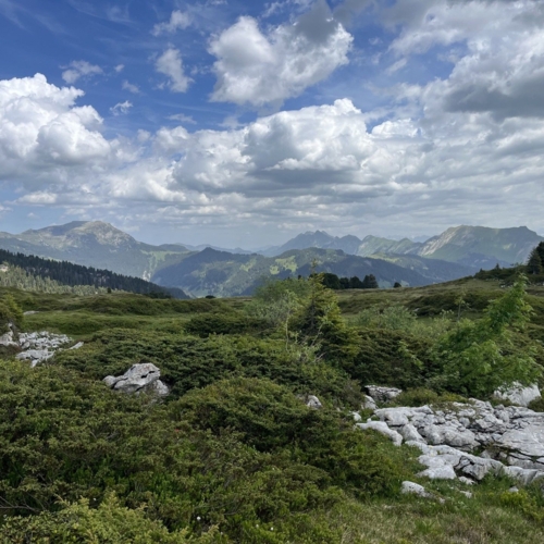 260617_NM_Gratwanderung Niederhorn_4