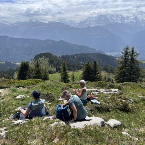 260617_NM_Gratwanderung Niederhorn_2