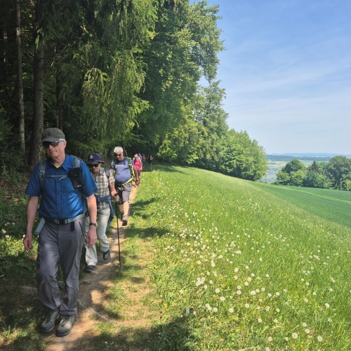 260502_AB_Hallwil_4