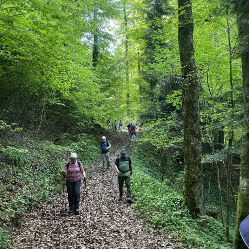 260426_4 Hinunter zum Rämsi 002