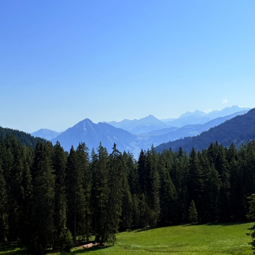 260812_MW_Schliere 6_7