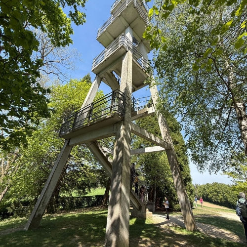 260502_AB_Hallwil_9