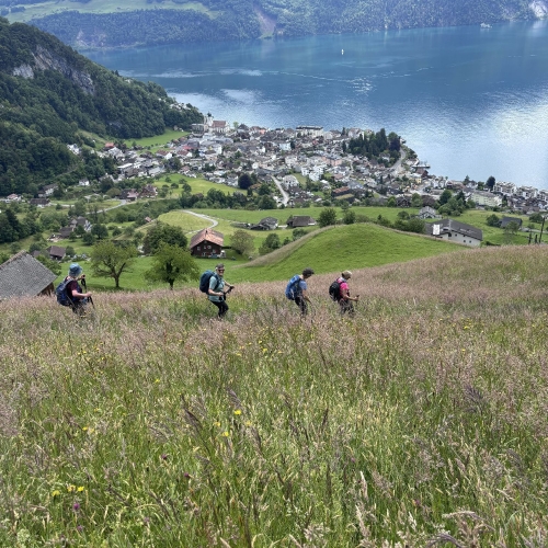 260520_CB_Vitznauerstock_12