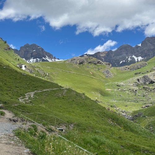 260614_BV_Surenental-Blackenalp 7