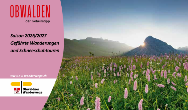 Screenshot 2026-02-16 102641