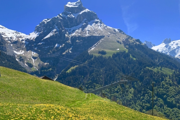 Von Engelberg zur Fürenalp