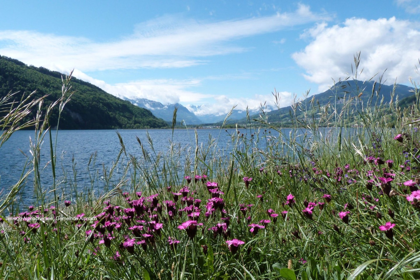 Telliegg-Alpnachersee-Gemeinde-Alpnach