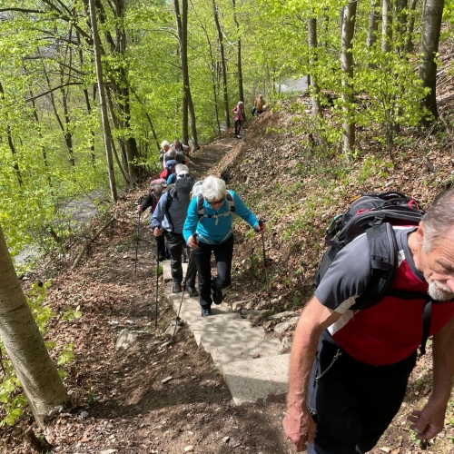 05_2025_04_19 2 Im Aufstieg durch den Bürgenbergwald