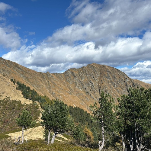 49_2025-10-05 2 Monte Lema