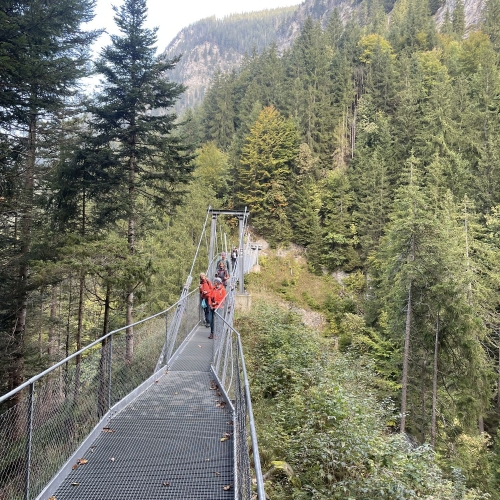 48_2025_10_01 5 Auf der Hängebrücke 004