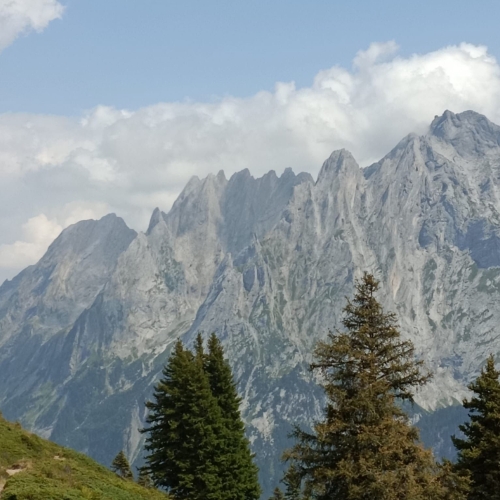 35_Grosse Scheidegg-Wildgärst 11 2025_08_16