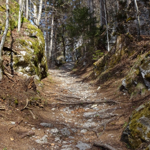 02_Brünig 2025_04_09 3EinsamePfade_r