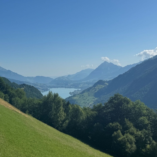 18_ 2025_06_28 Schmettlingspfad 2