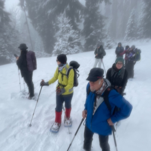 260215_SS_3 Im Nebel Richtung Wolfetsmatt